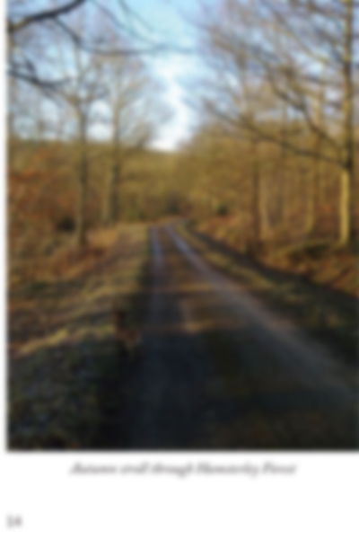 https://www.rite4me.co.uk/wp-content/uploads/2016/09/page14.jpg